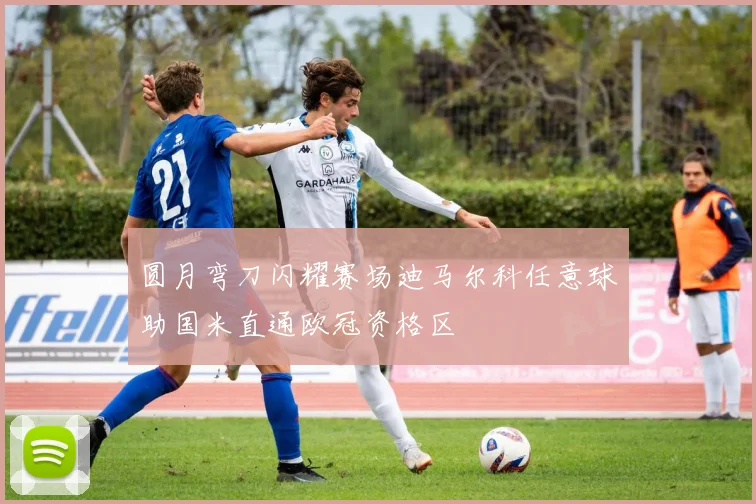 圆月弯刀闪耀赛场迪马尔科任意球助国米直通欧冠资格区
