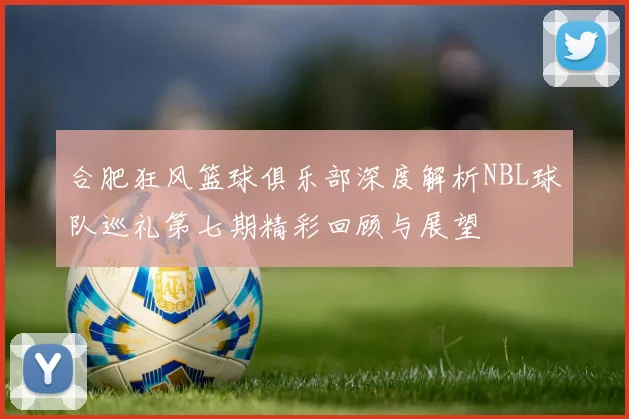 合肥狂风篮球俱乐部深度解析NBL球队巡礼第七期精彩回顾与展望