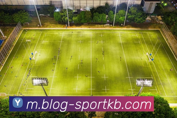 KB体育平台生态图