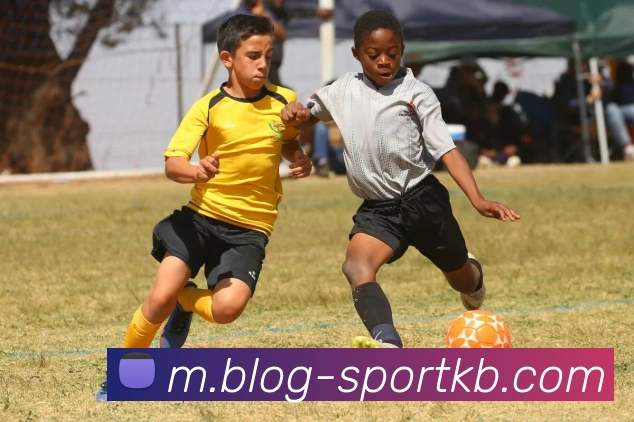 KB体育APP 封面图